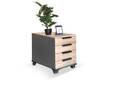 OFFICE OAK Rollcontainer, Material teilmassiv, Eiche/graphitfarbig