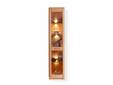 NESTOR ONE Vitrine schmal, Material Teilmassiv, Kernbuche lackiert