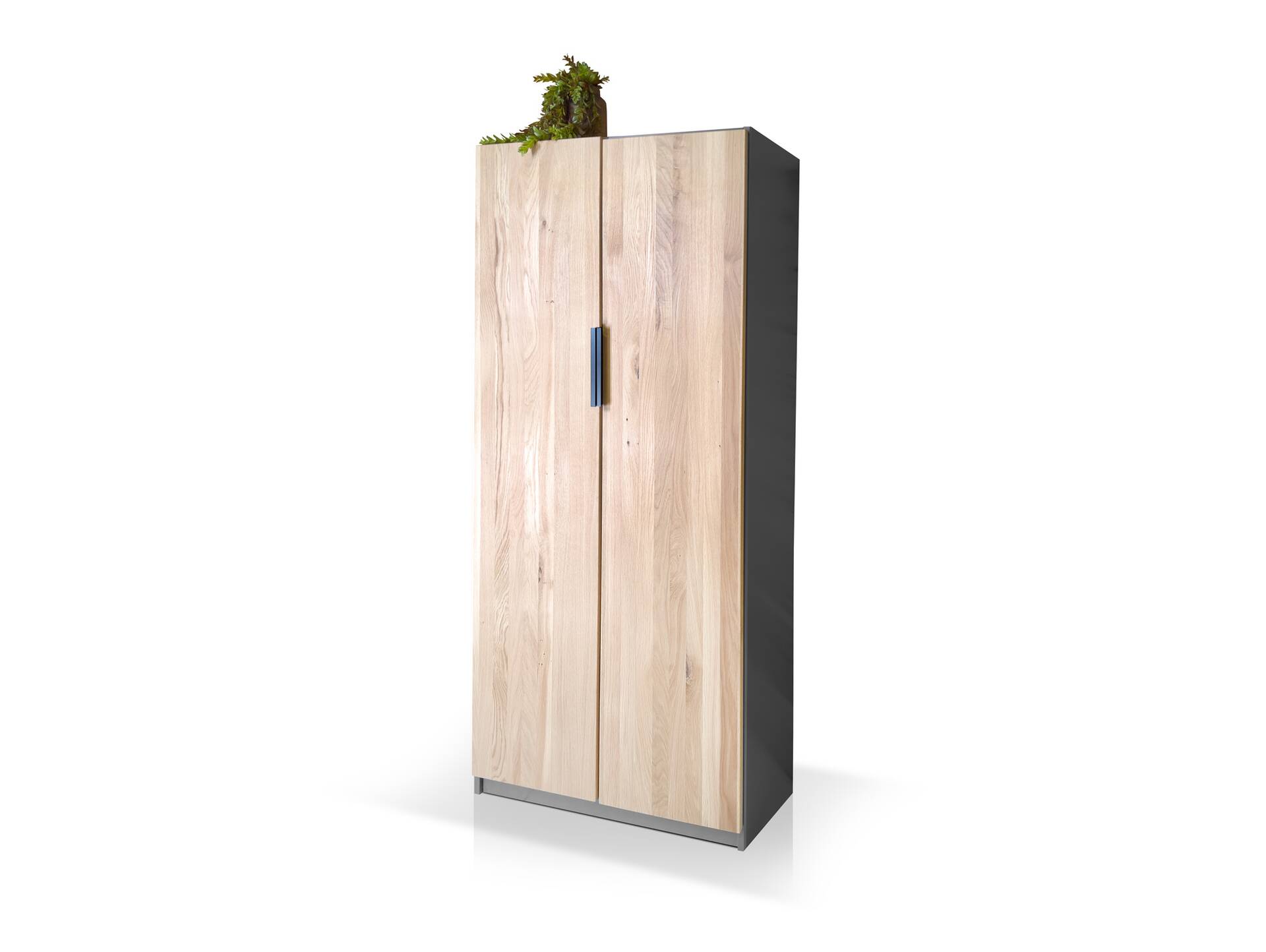 OFFICE OAK Aktenschrank VII, Material teilmassiv, Eiche/graphitfarbig 