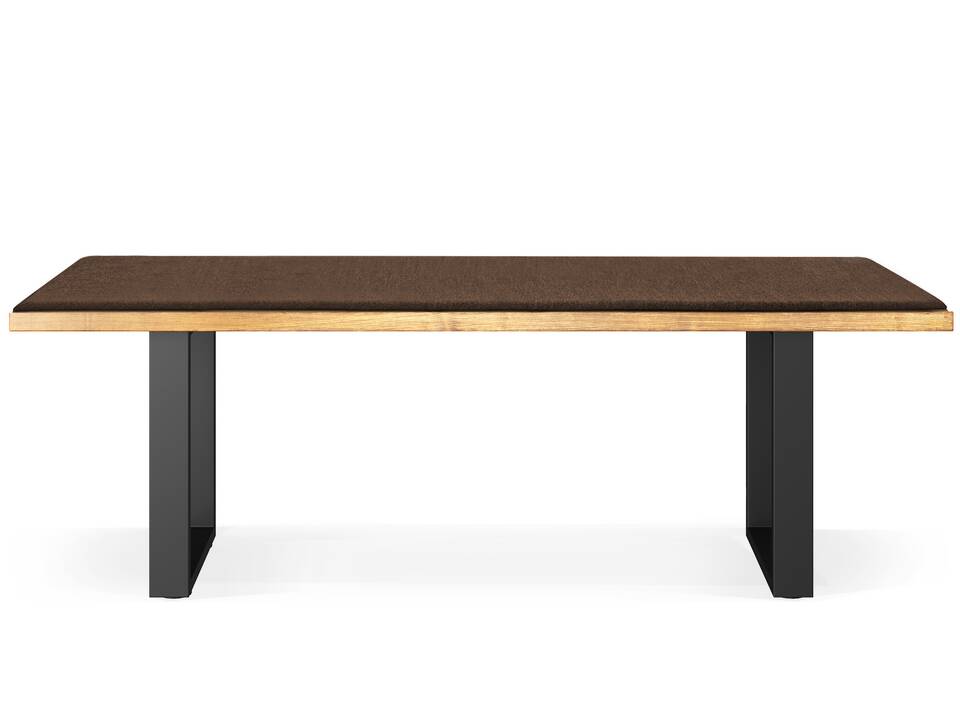 CURBY Sitzbank, rustikale Altholzoptik, Material Massivholz, Fichte gebürstet 220 cm | vintage | ohne Rückenlehne | inklusive Sitzkissen braun