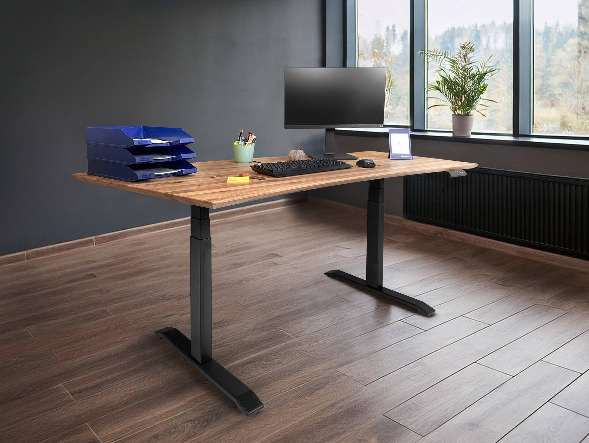 OFFICE OAK elektrisch höhenverstellbarer Schreibtisch 180x80 cm, Material Massivholz, Eiche geölt 