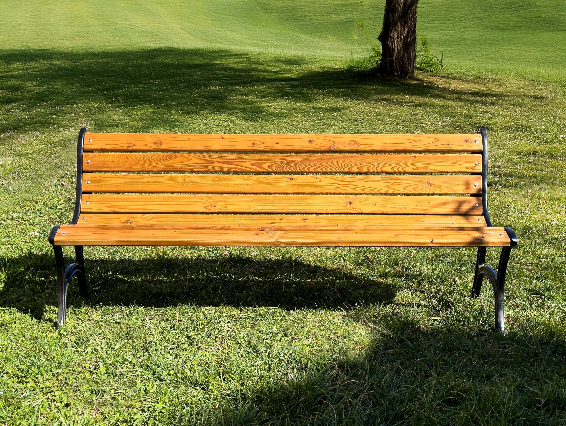 GUSTL Gartenbank, Material Massivholz Lärche, Metallgestell Schwarz 150 cm