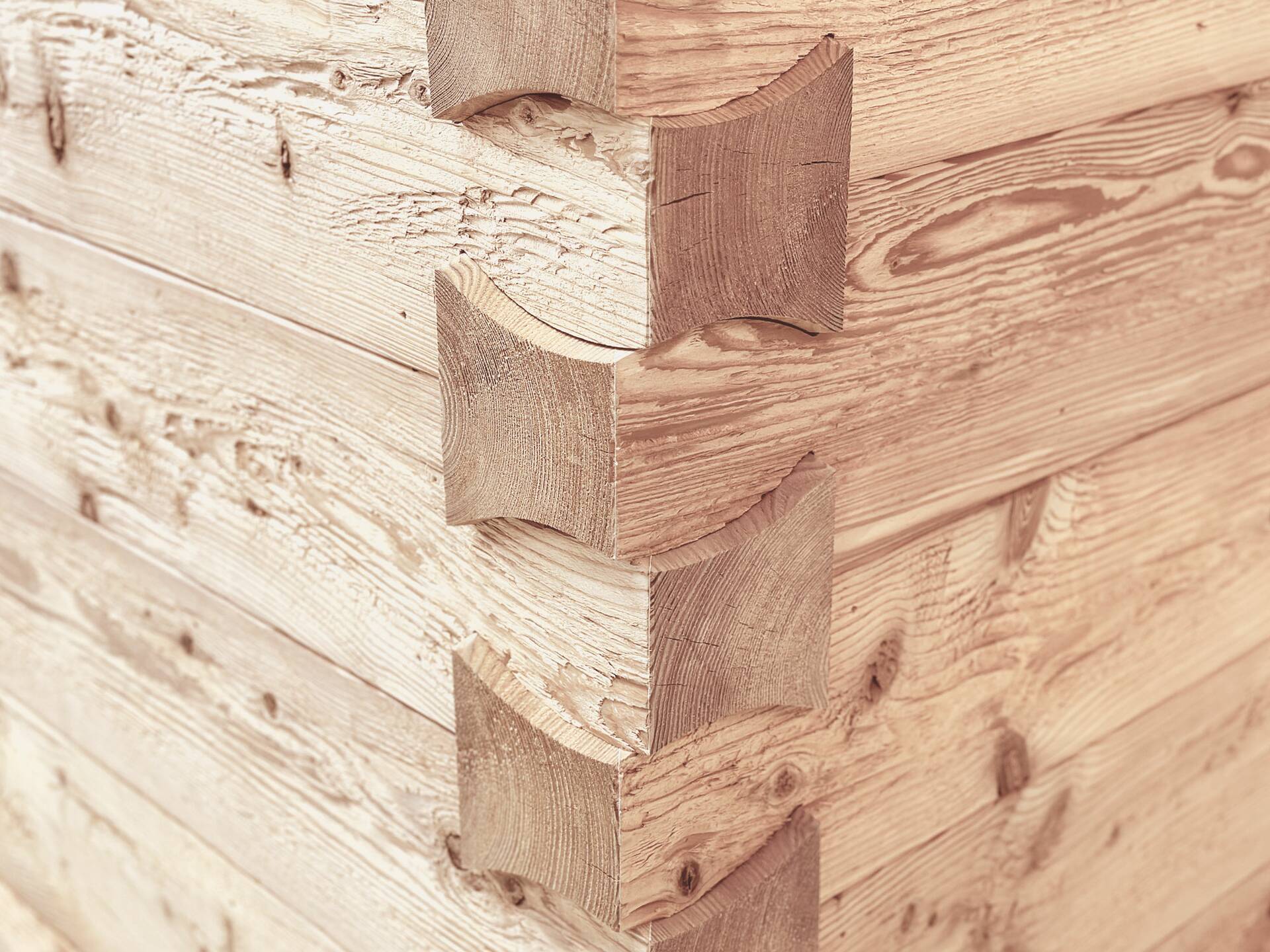 KLINGSCHROT Blockwandschalung/Nut- und Federbrett/Schalungsbrett, Material Massivholz, gehackt/gebürstet Lärche natur | 2 Meter