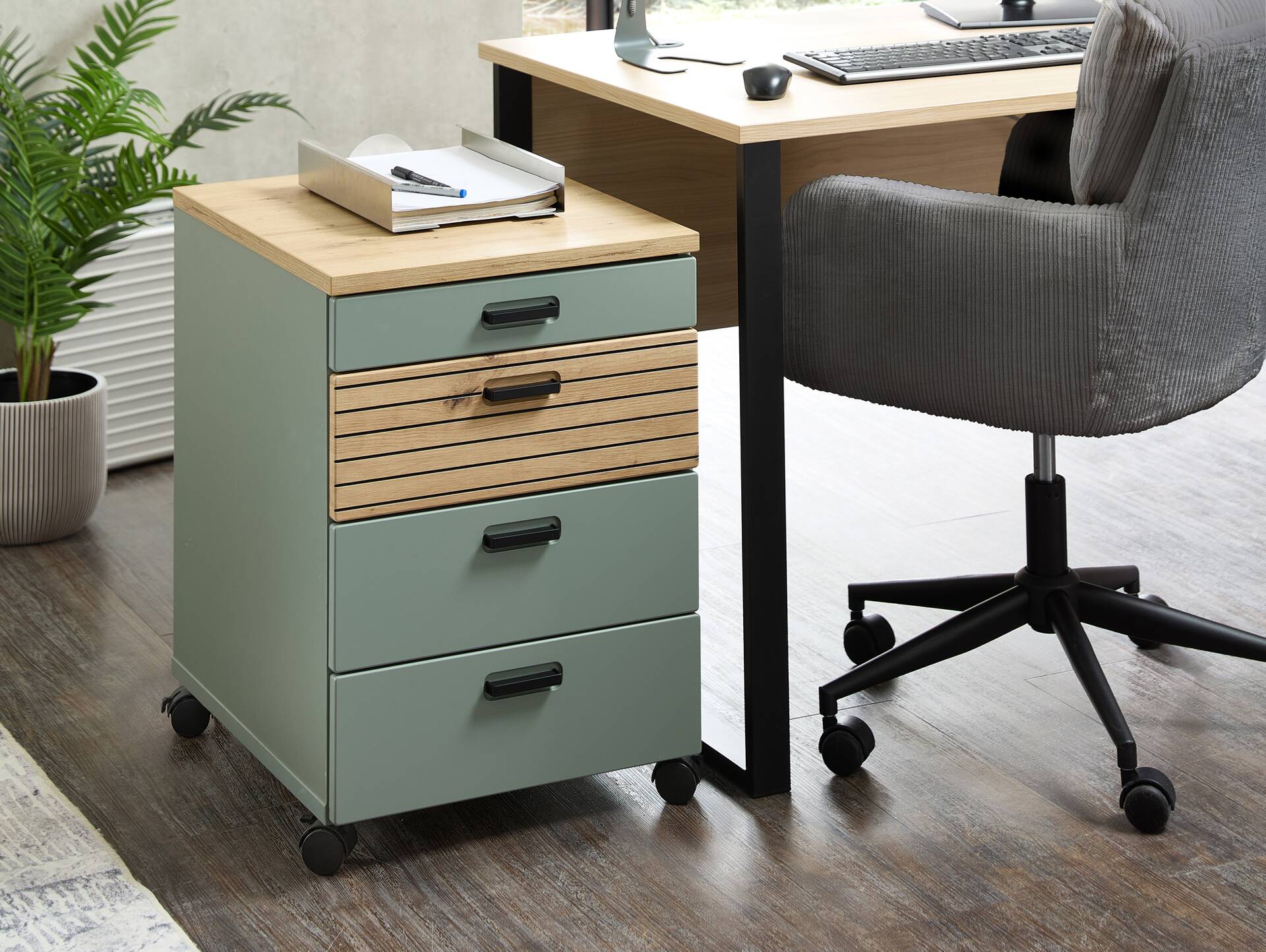 GENNY Rollcontainer, Material Dekorspanplatte Schilfgrün / Artisan Eichefarbig