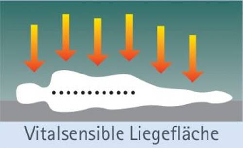 Lattenrost RUBIN + VITAL 12 Matratze / Set Angebot 140 x 200 cm